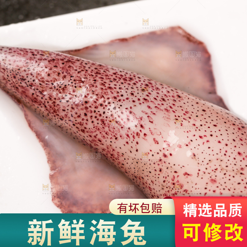 深底上的海兔