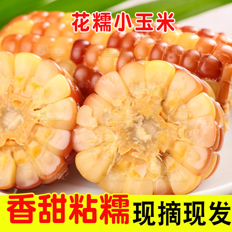 浅底上的小花糯玉米