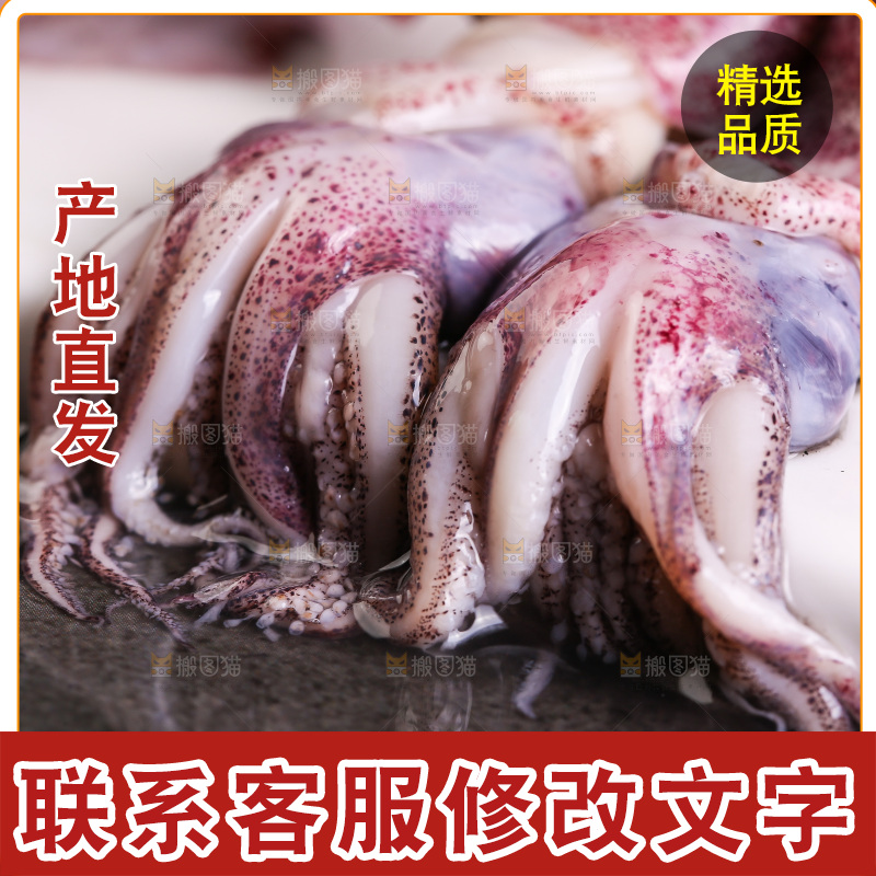 深底上的海兔
