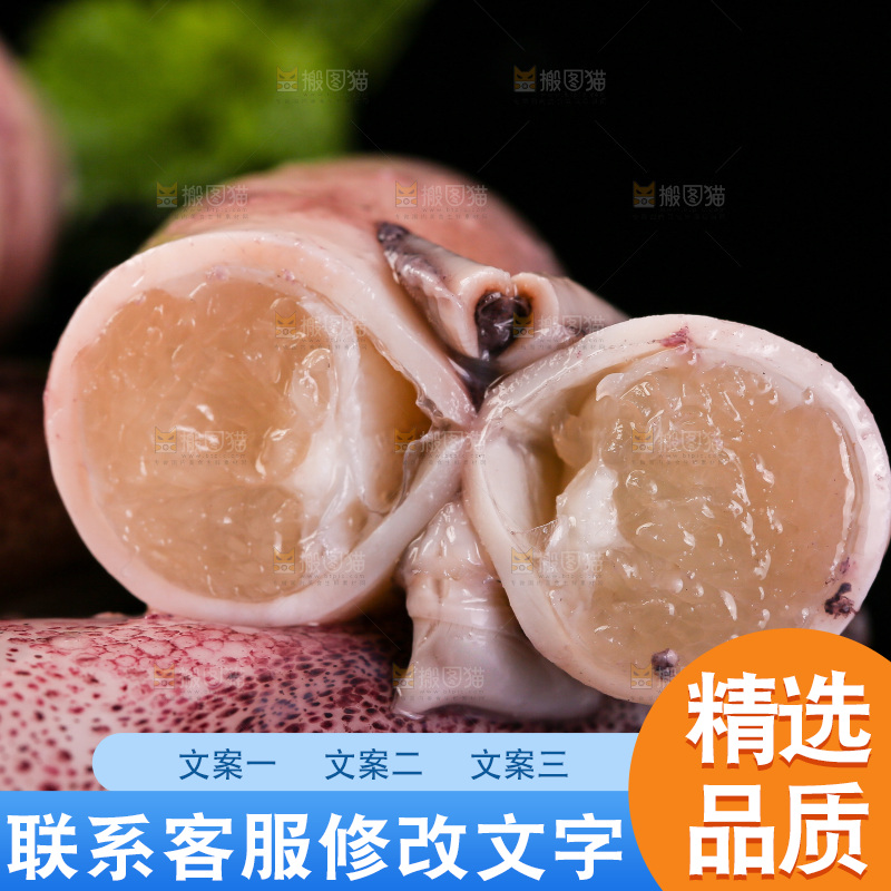 黑底上的海兔