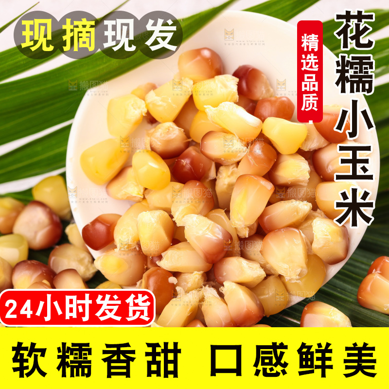 浅底上的小花糯玉米