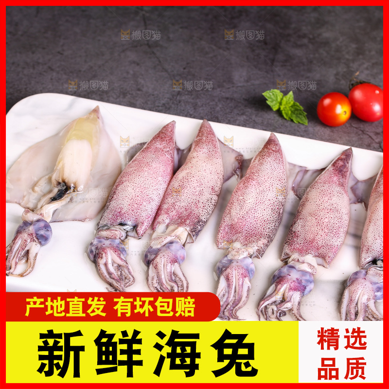 深底上的海兔