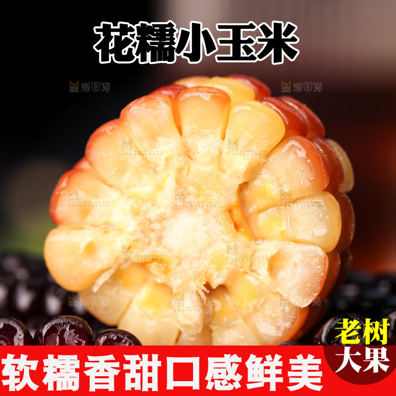 深底上的玉米