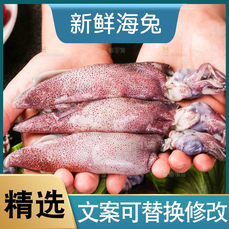 深底上的海兔