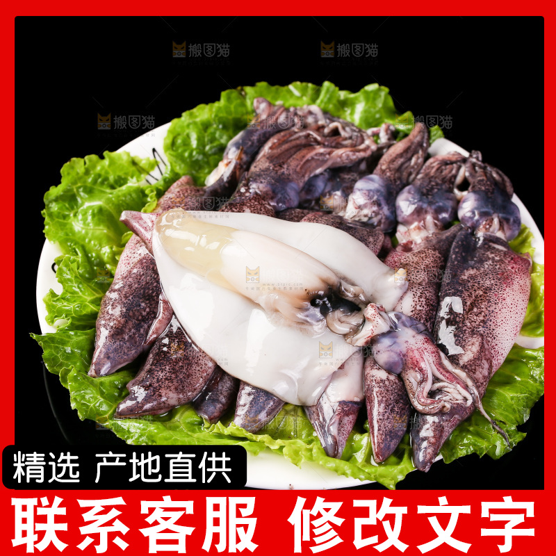 黑底上的海兔