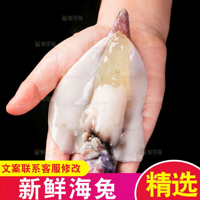 黑底上的海兔