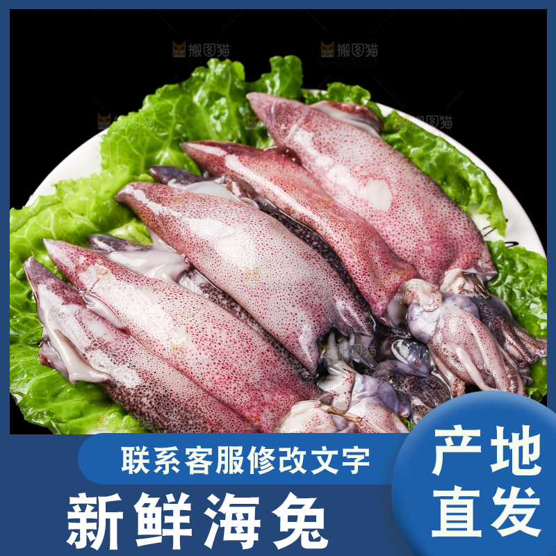 黑底上的海兔