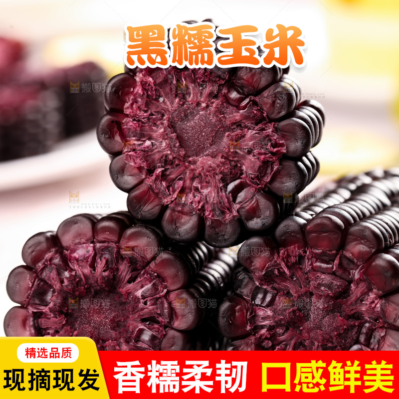 浅底上的黑糯玉米