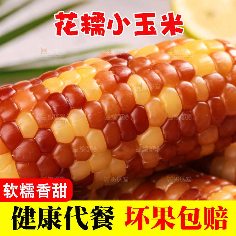浅底上的小花糯玉米