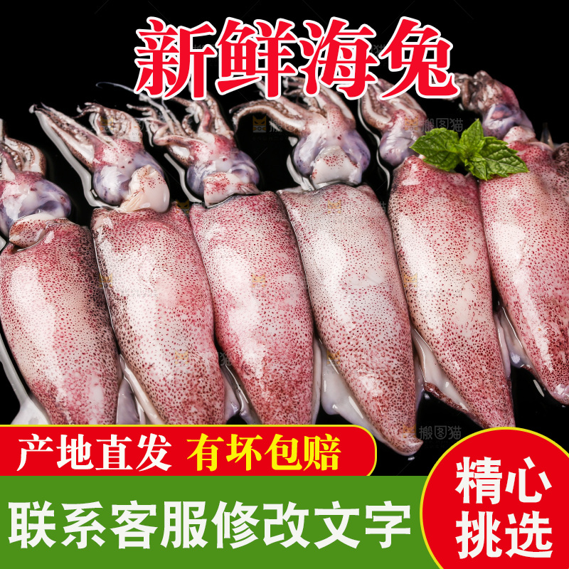 黑底上的海兔