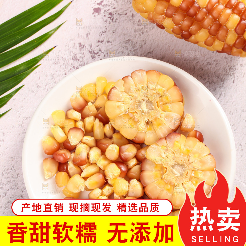 浅底上的小花糯玉米