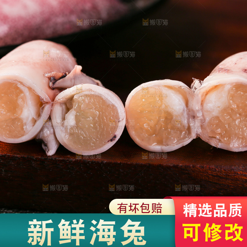 深底上的海兔