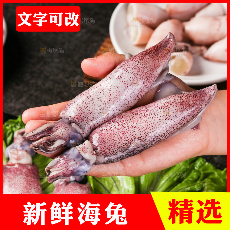 深底上的海兔