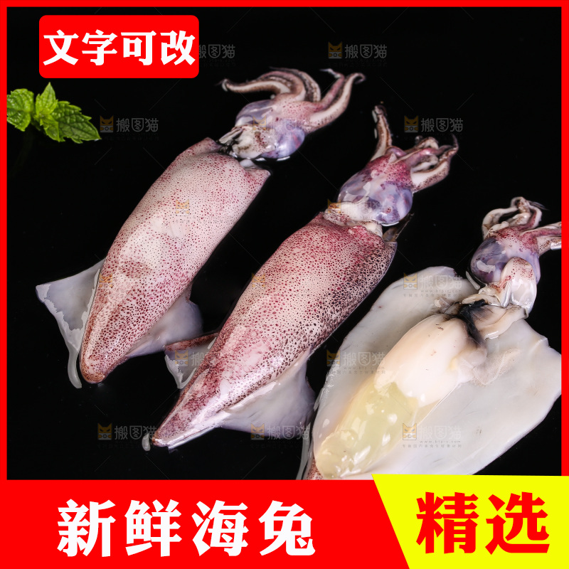 黑底上的海兔
