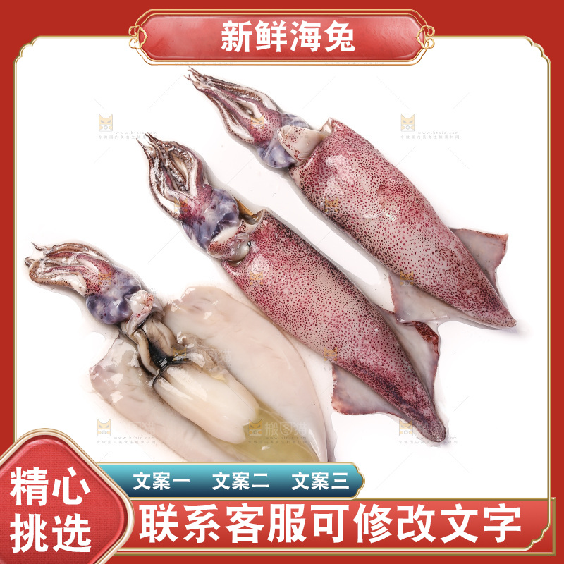 白底上的海兔