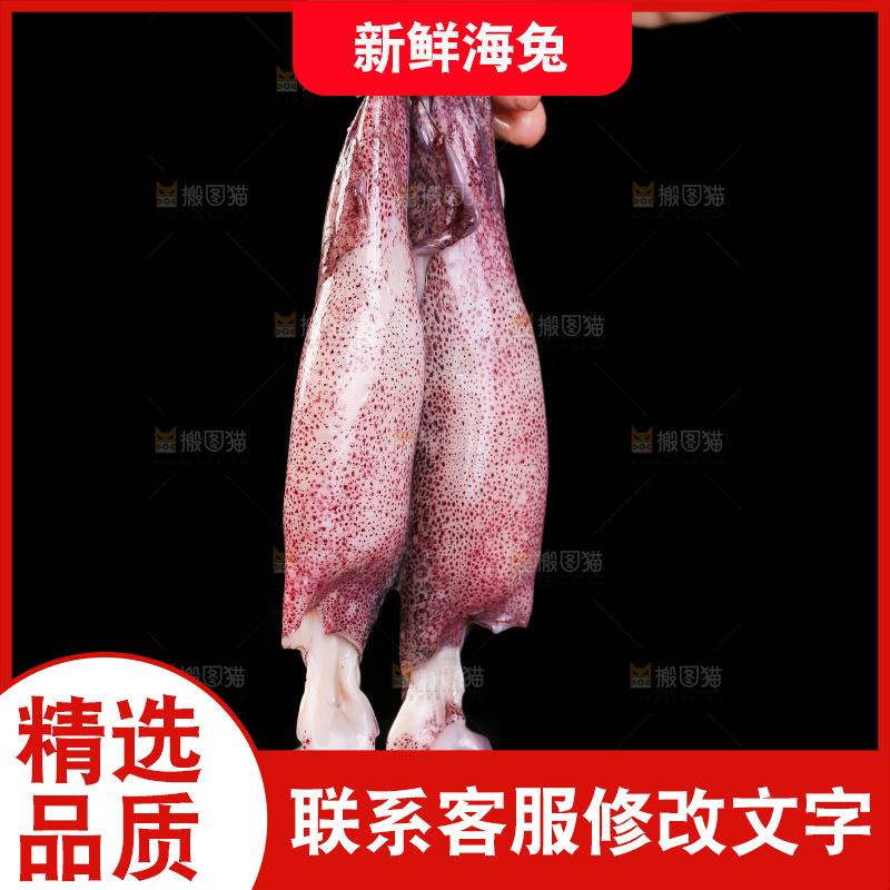黑底上的海兔