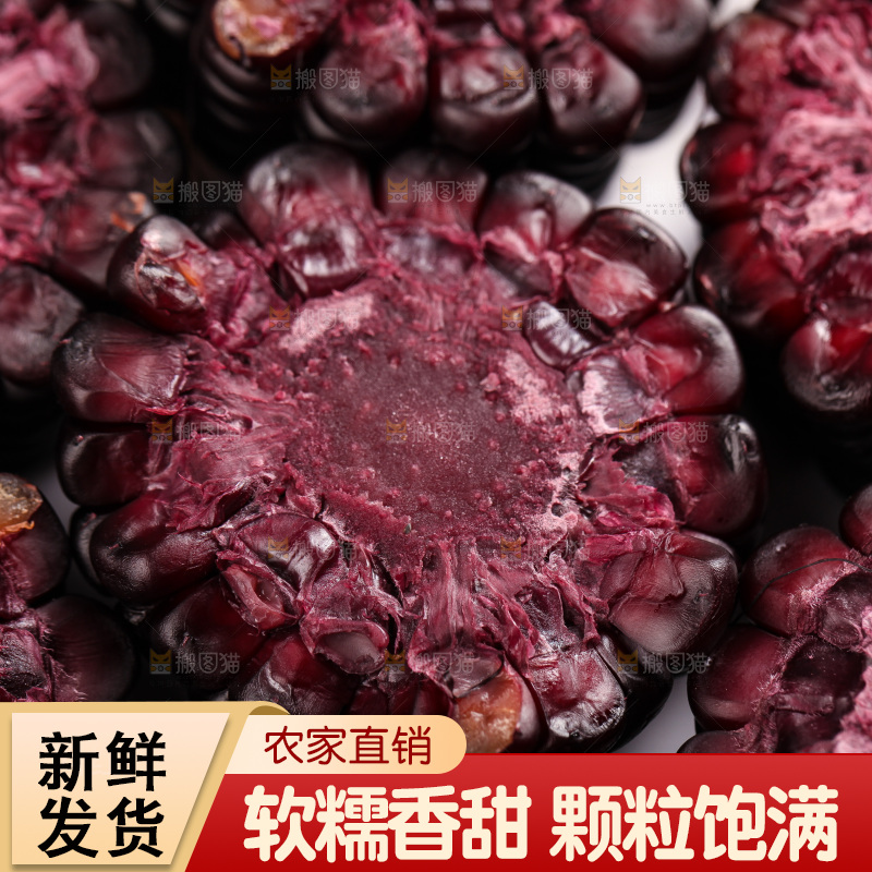 浅底上的黑糯玉米