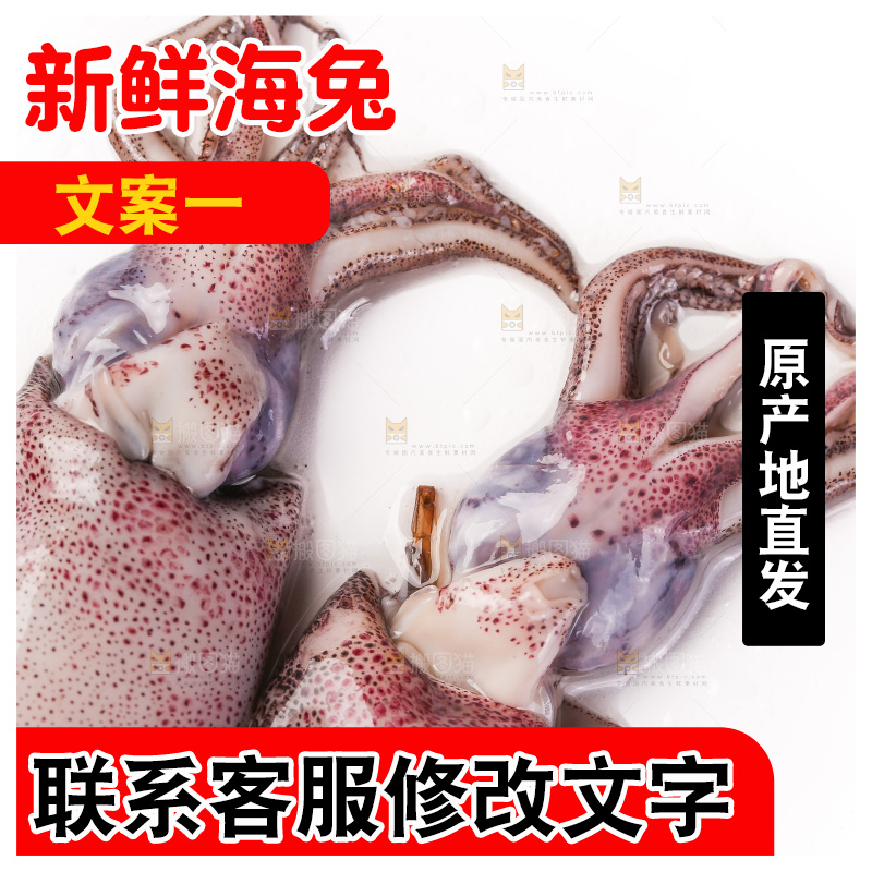 白底上的海兔