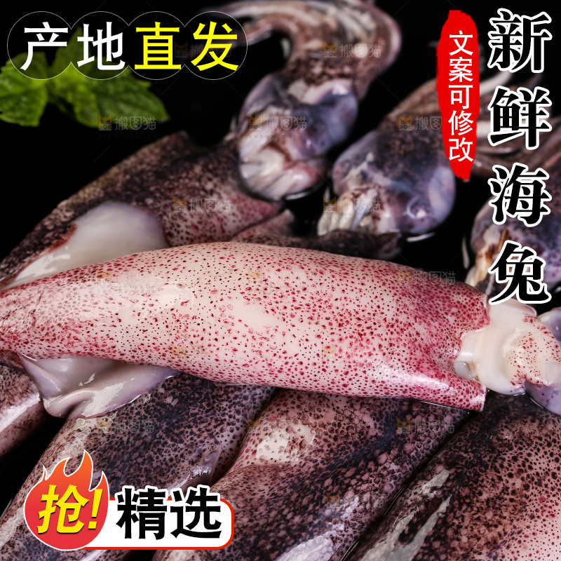 黑底上的海兔
