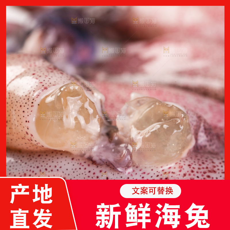 深底上的海兔