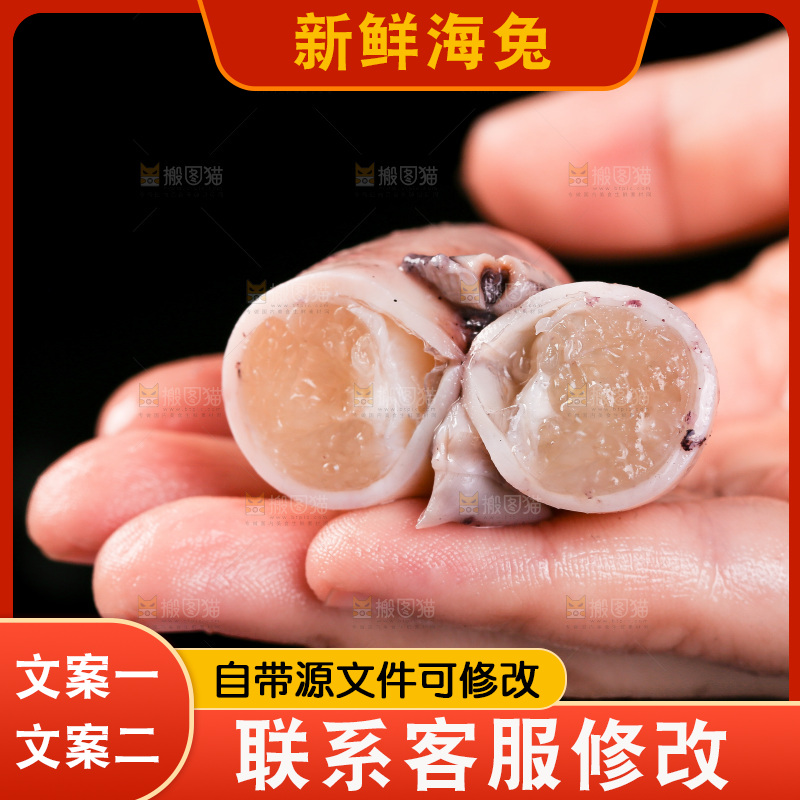 黑底上的海兔