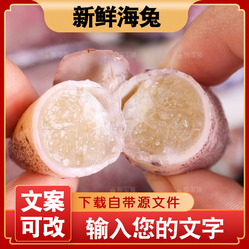 深底上的海兔