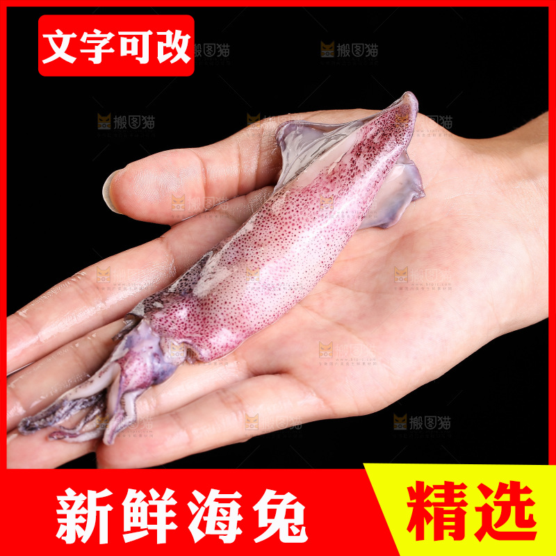 深底上的海兔