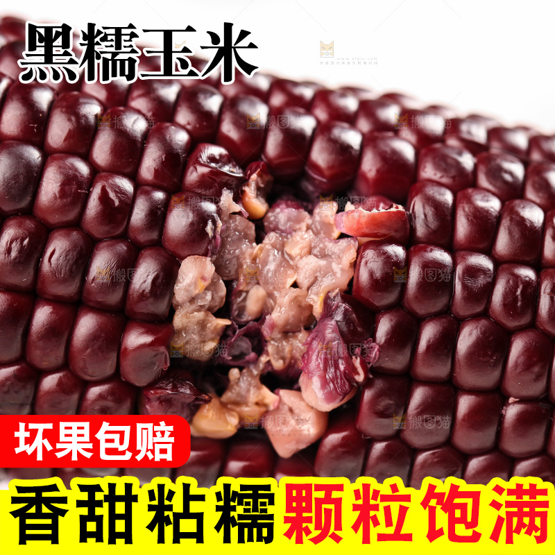 浅底上的黑糯玉米