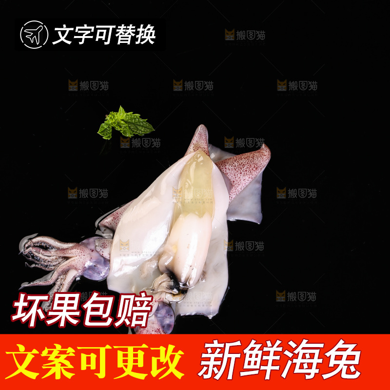 黑底上的海兔
