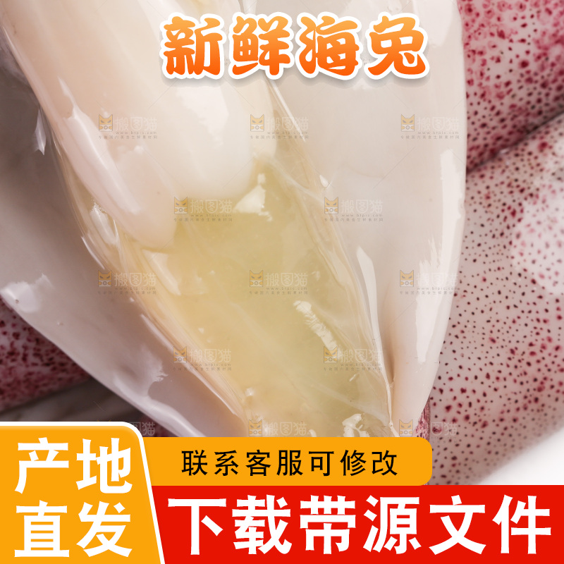 白底上的海兔