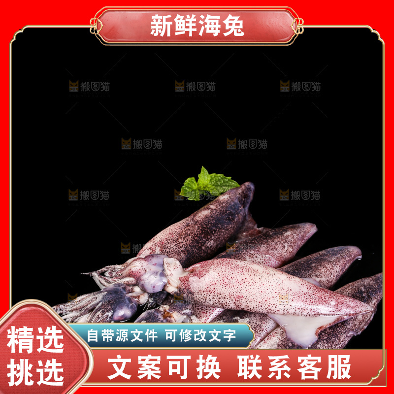 黑底上的海兔