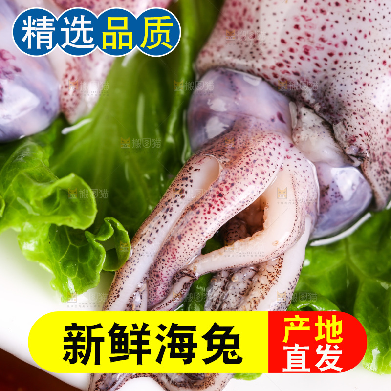 深底上的海兔