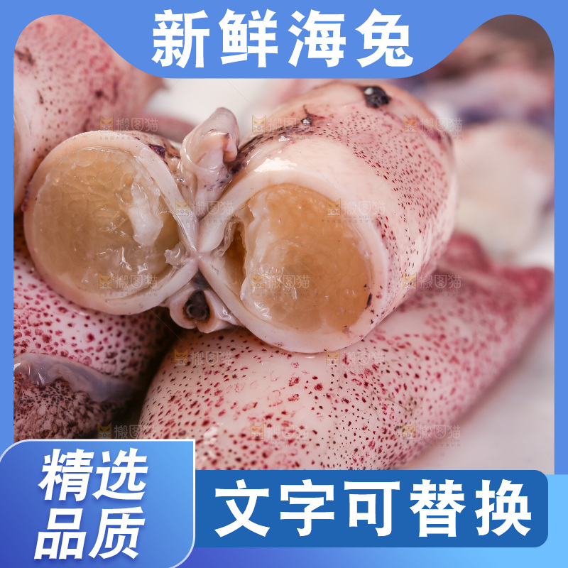 深底上的海兔