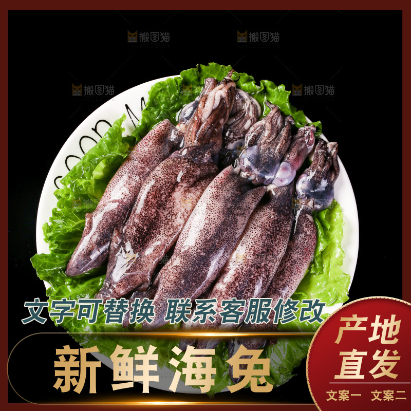 黑底上的海兔