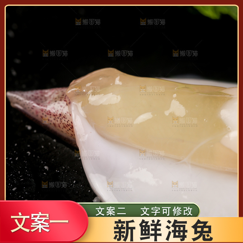 黑底上的海兔