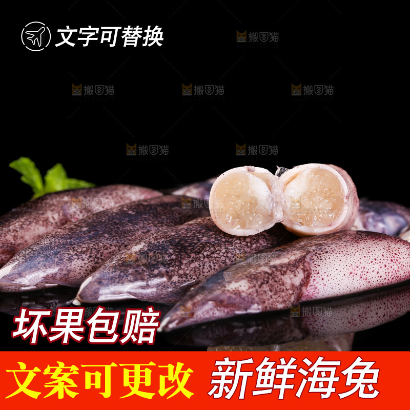 黑底上的海兔