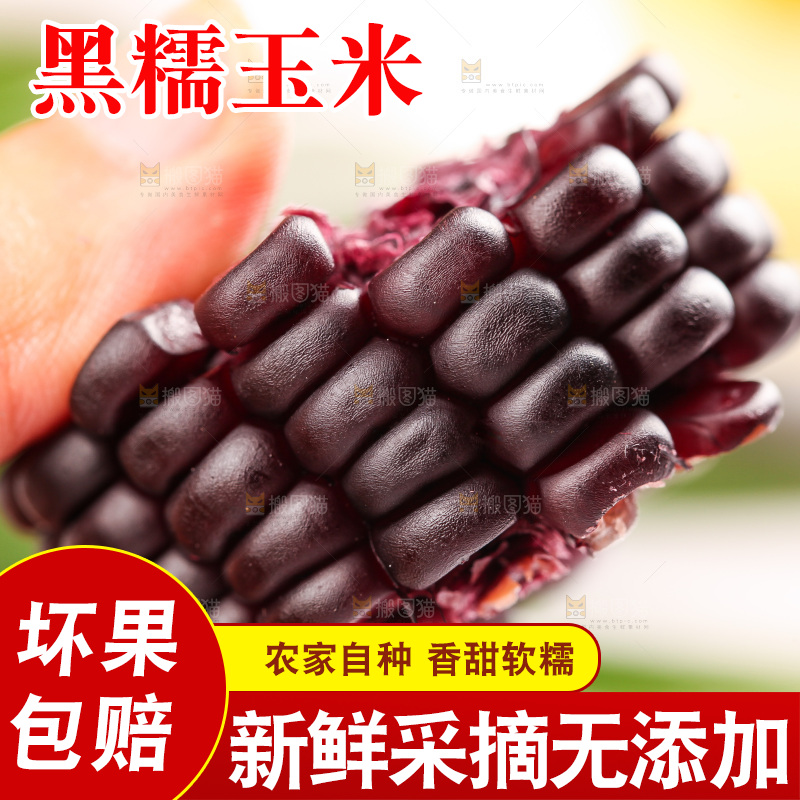 浅底上的黑糯玉米