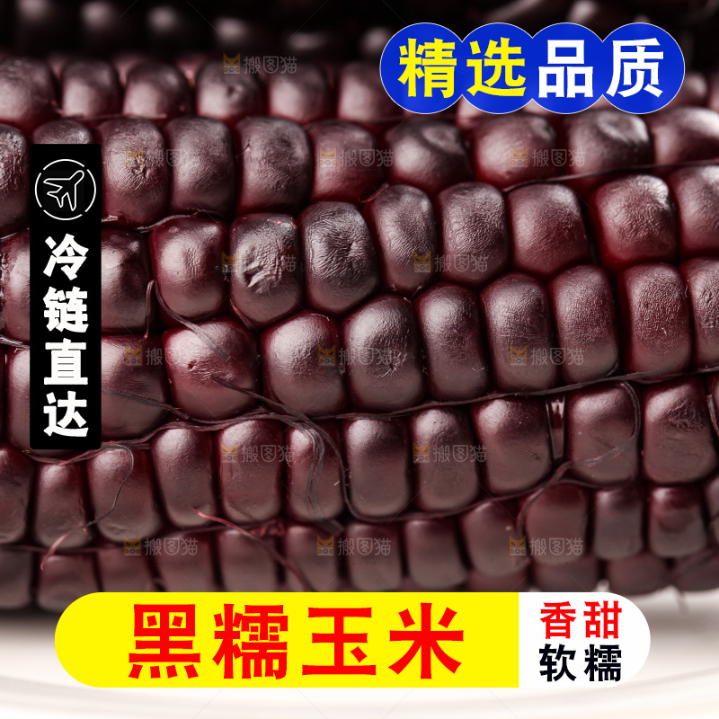 浅底上的黑糯玉米
