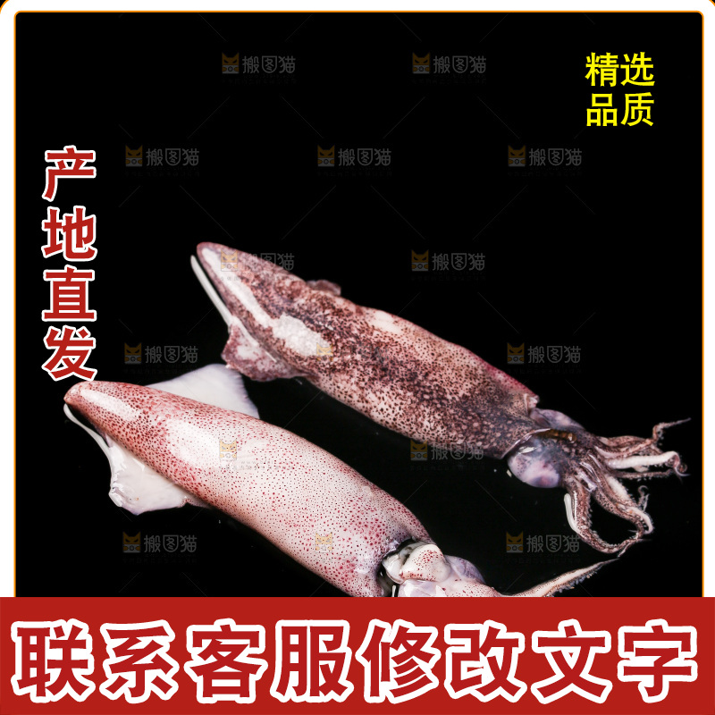 黑底上的海兔