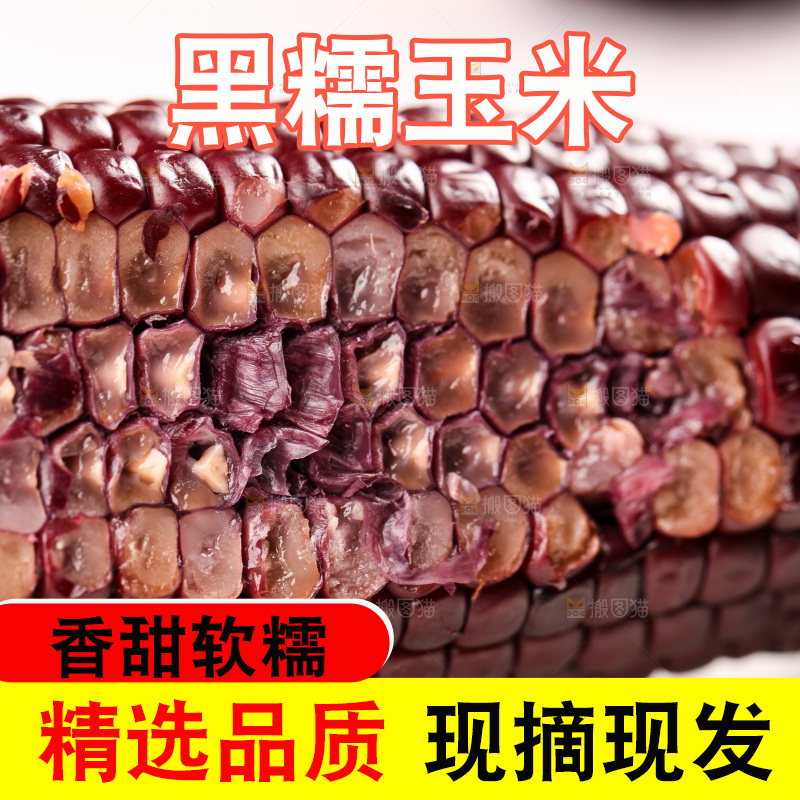 浅底上的黑糯玉米