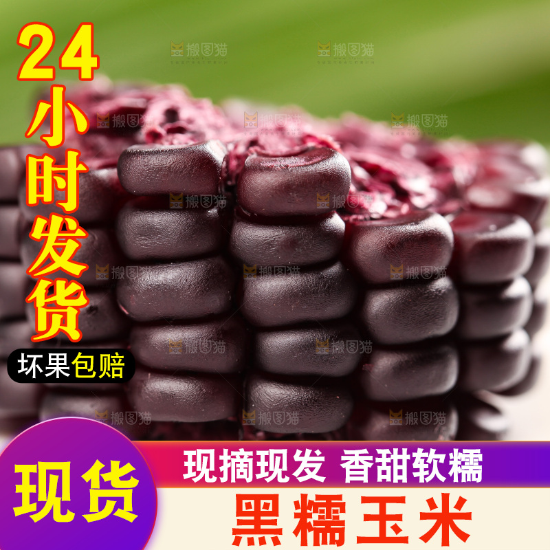 浅底上的黑糯玉米