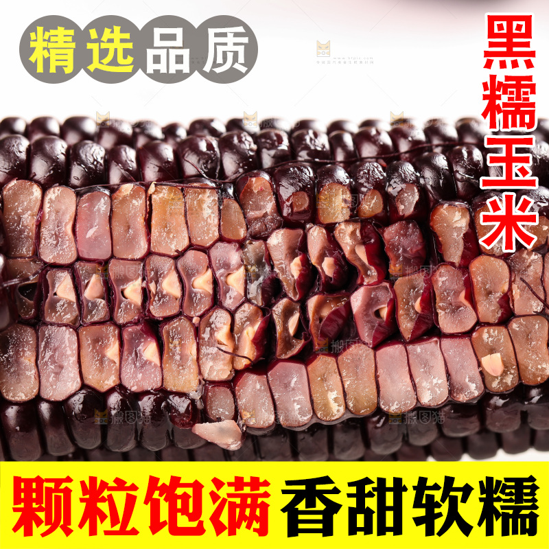 浅底上的黑糯玉米