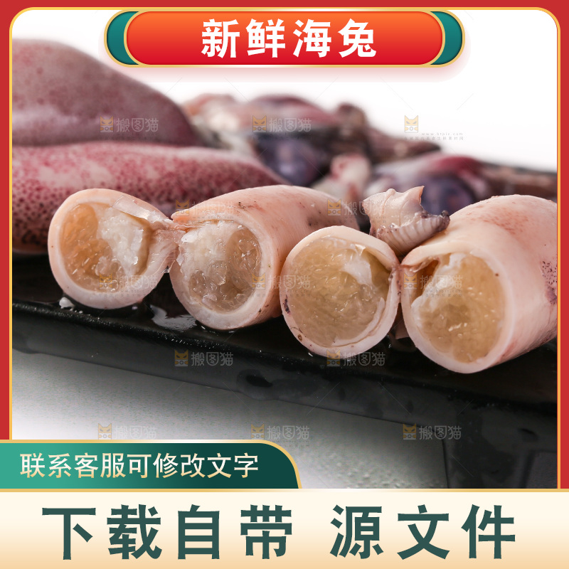 白底上的海兔