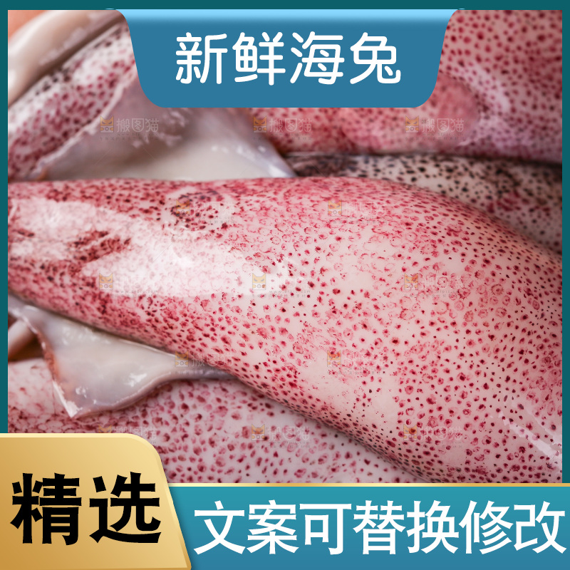 深底上的海兔