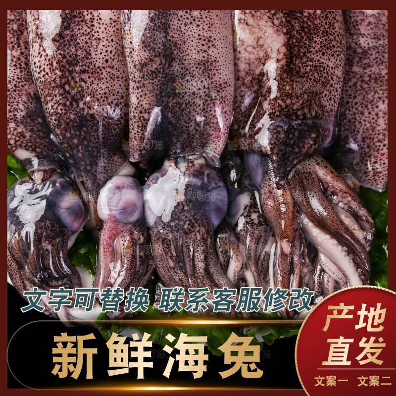 黑底上的海兔