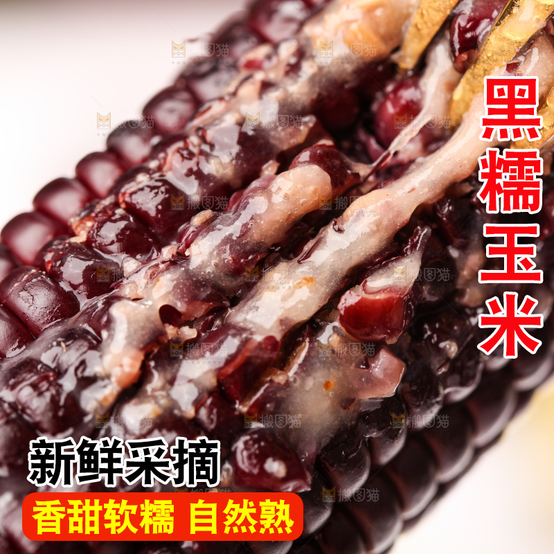 浅底上的黑糯玉米