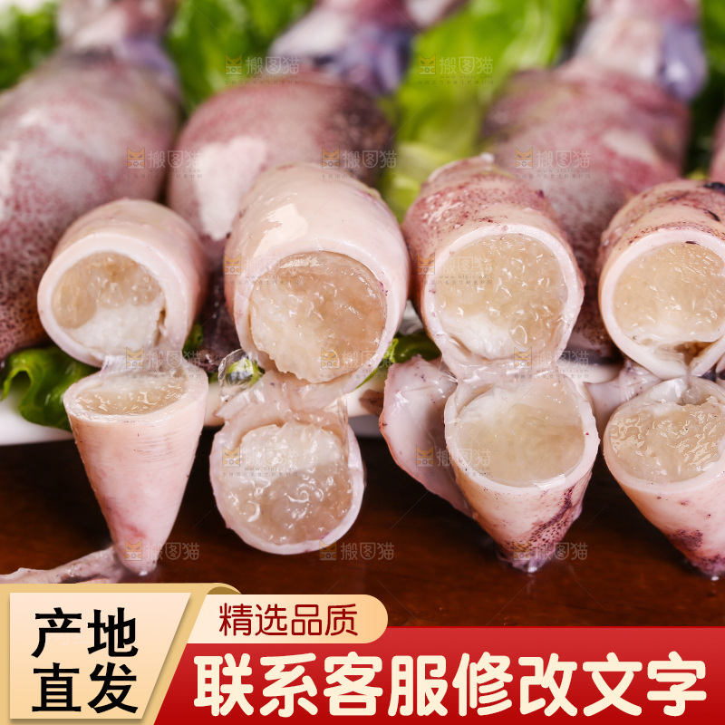 深底上的海兔