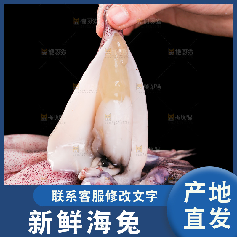 黑底上的海兔