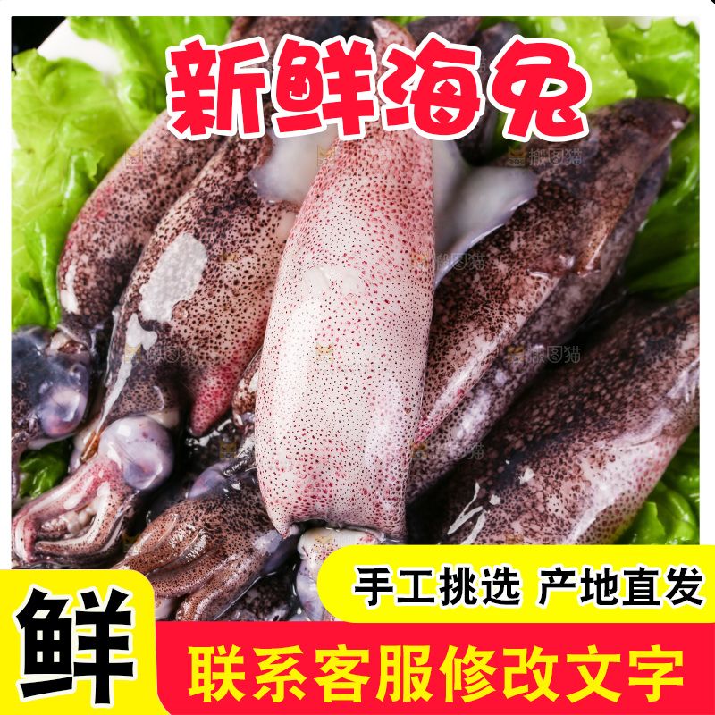 黑底上的海兔