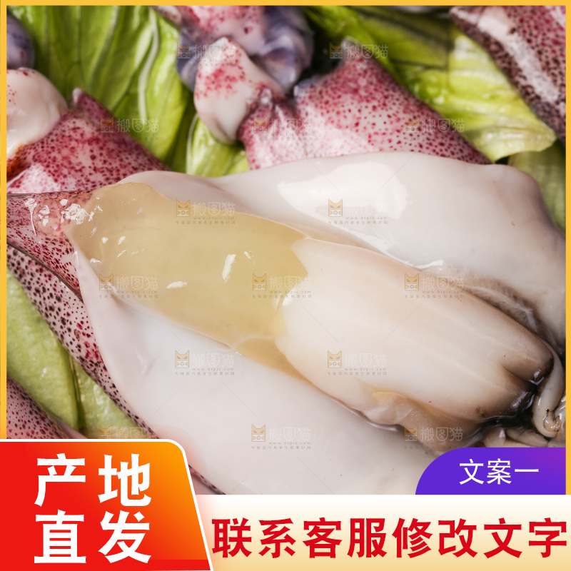 深底上的海兔
